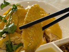 -巫记鸡饭店
