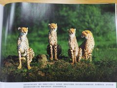 -荔湾区图书馆(周门馆)