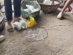 -马陆小张葡萄园农家乐