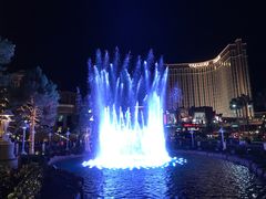 -拉斯维加斯永利酒店
