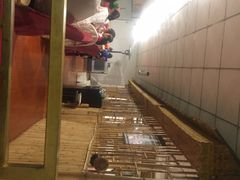 -金塔傣乡·云南民族特色菜·傣味手抓饭(金瓦路店)