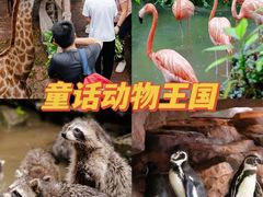 -长鹿旅游休博园