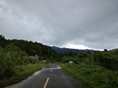 -海南热带雨林国家公园吊罗山景区