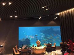 -海棠湾洲际-涛·海底餐厅·美人鱼·自助餐·海底隧道