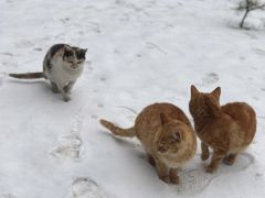 -终南山南五台景区