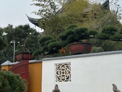 -龙华素斋(龙华路店)