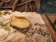 -秦皇岛新澳海底世界