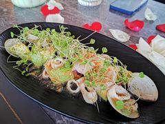 -Hi City·城市之巅