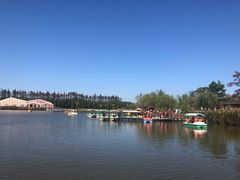 -上海长兴岛郊野公园