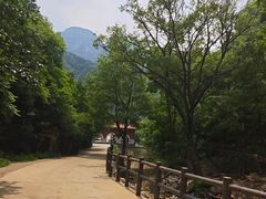 -湖洞水自然风景区