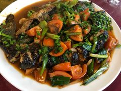 剑骨鱼啤酒炖-生态苑农庄(十里画廊遇龙河店)