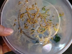 -虎虎龙虾大排档(双井店)