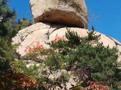 -崂山仰口游览区