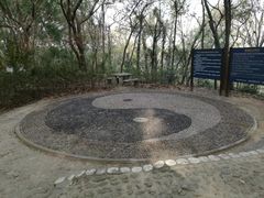 -上海佘山国家森林公园天马山园