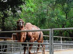 -广东茂名森林公园