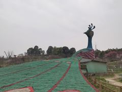 -秀丽东方