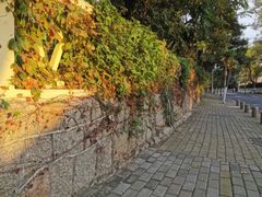 -八大关景区