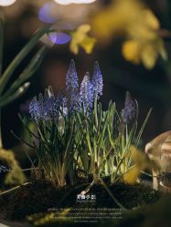 -美薇亭婚礼顾问