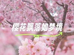 -蜀冈西峰生态公园