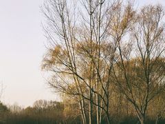 -西安浐灞国家湿地公园