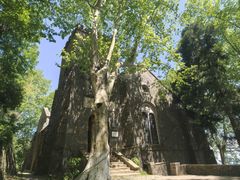 -莫干山风景区