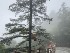 -秦岭天竺山生态文化旅游景区