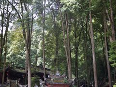 -青城山