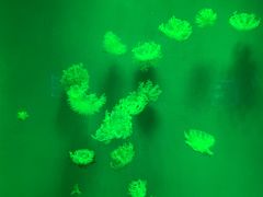 -福州罗源湾海洋世界旅游区