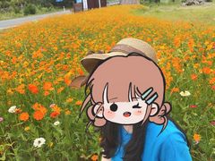 -大围山国家森林公园