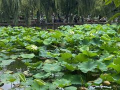 -昆百大泰业城
