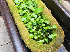 -老屋咖啡
