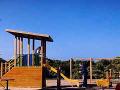 -Dooley's Premium Ice Cream