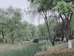 -滨湖塘西河公园