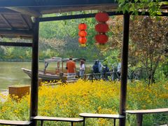 -溱湖国家湿地公园