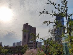 -回龙窝历史文化街区