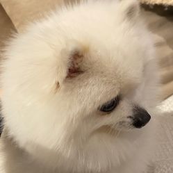 -MZ SKIN CARE逆齢驻颜中心