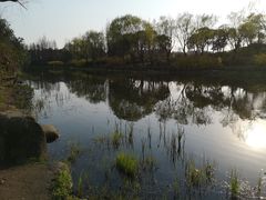 -新江湾城公园