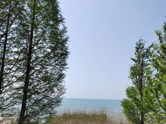 -西京湾花海