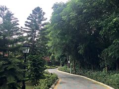 -迪茵湖田家舍生态农场