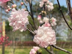 -福州大学(旗山校区)