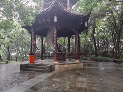 -杭州半山国家森林公园