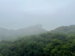 -普陀山风景区-佛顶山