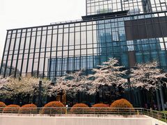 -Stretch斯川驰·拉伸·运动康复(南施街店)