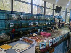 -锦里海景海鲜餐厅.三亚老字号(亚龙湾中心广场店)