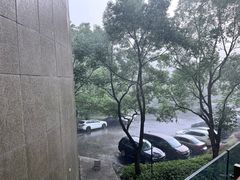 -上海佘山世茂艾美酒店