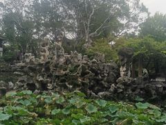 -苏面斋·本地传统苏式面馆
