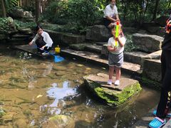 -成都市活水公园