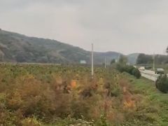 -南泥湾风景区