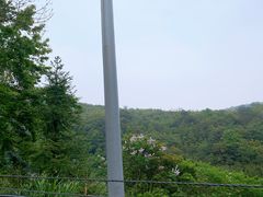 -四明山国家森林公园