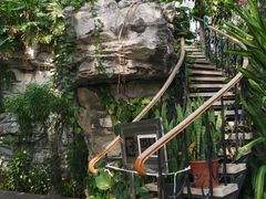 -北京植物园-展览温室